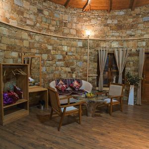 Family Studio